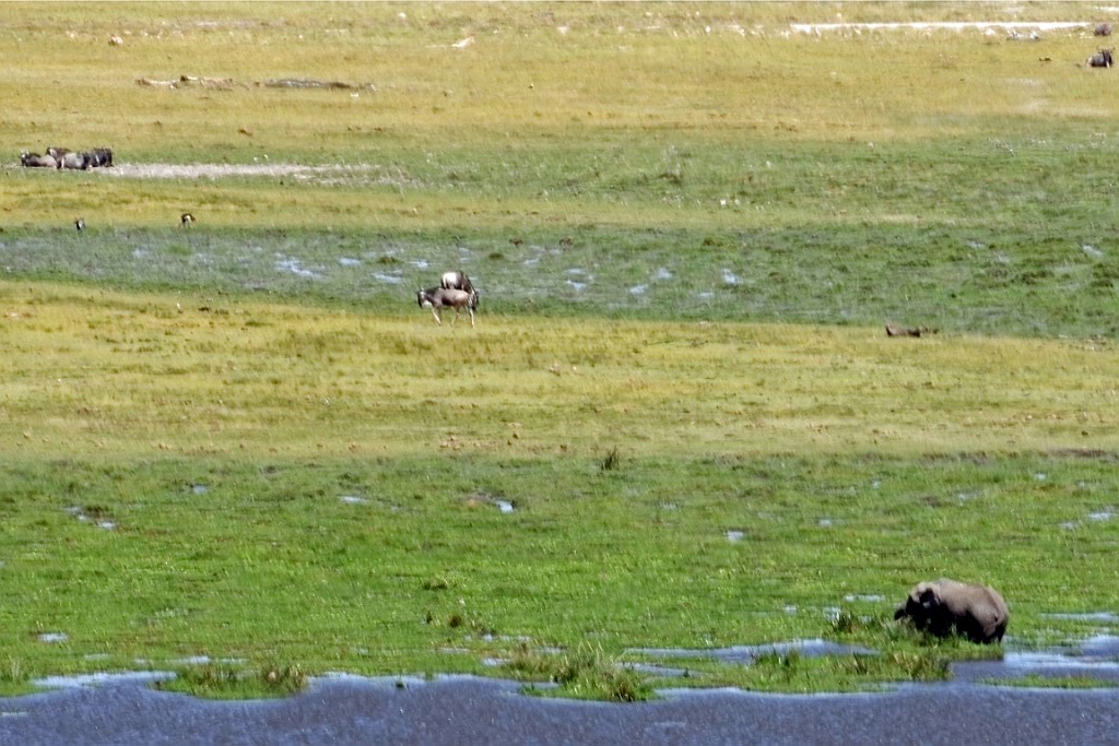 Kenia (225).jpg